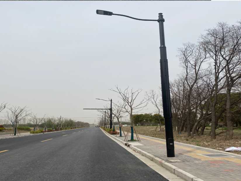 沿滩区上海综合杆 太阳能路灯工程